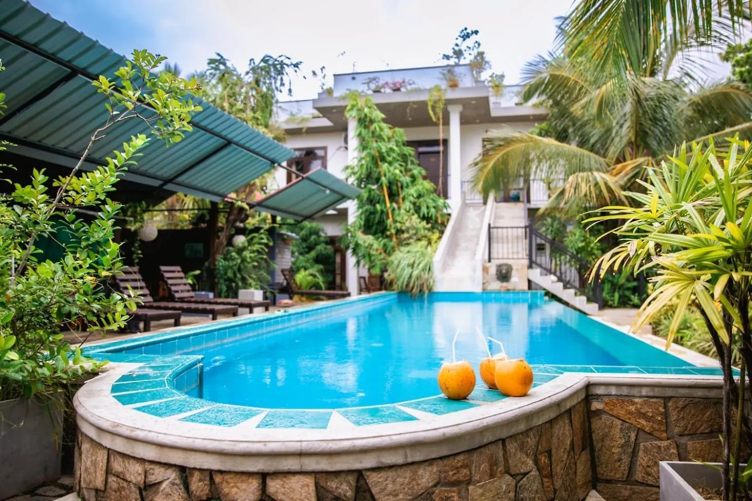 Bed and Breakfast Optimum Residencies Negombo Sri Lanka