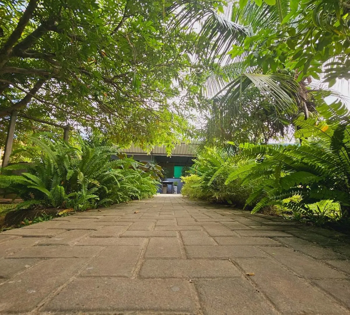 Bed and Breakfast Optimum Residencies Negombo
