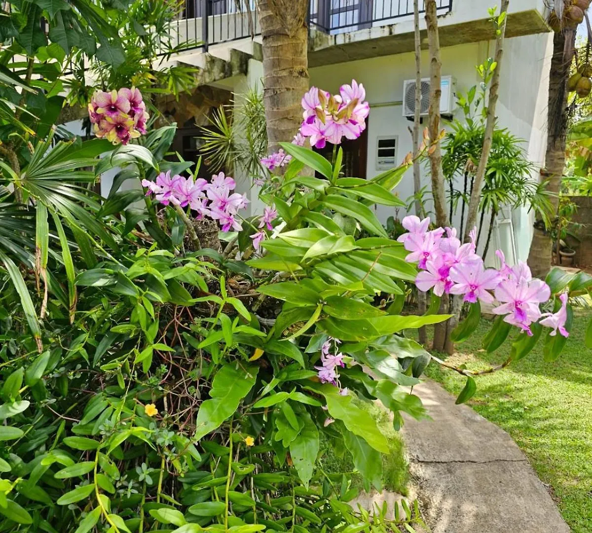 לינה וארוחת בוקר נגומבו Optimum Residencies 0*,  סרי לנקה